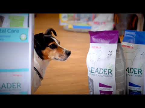 Videó: Szerves kutyaeledel minden élet szakaszában