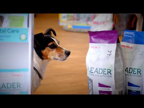 leader natural dog nutrition