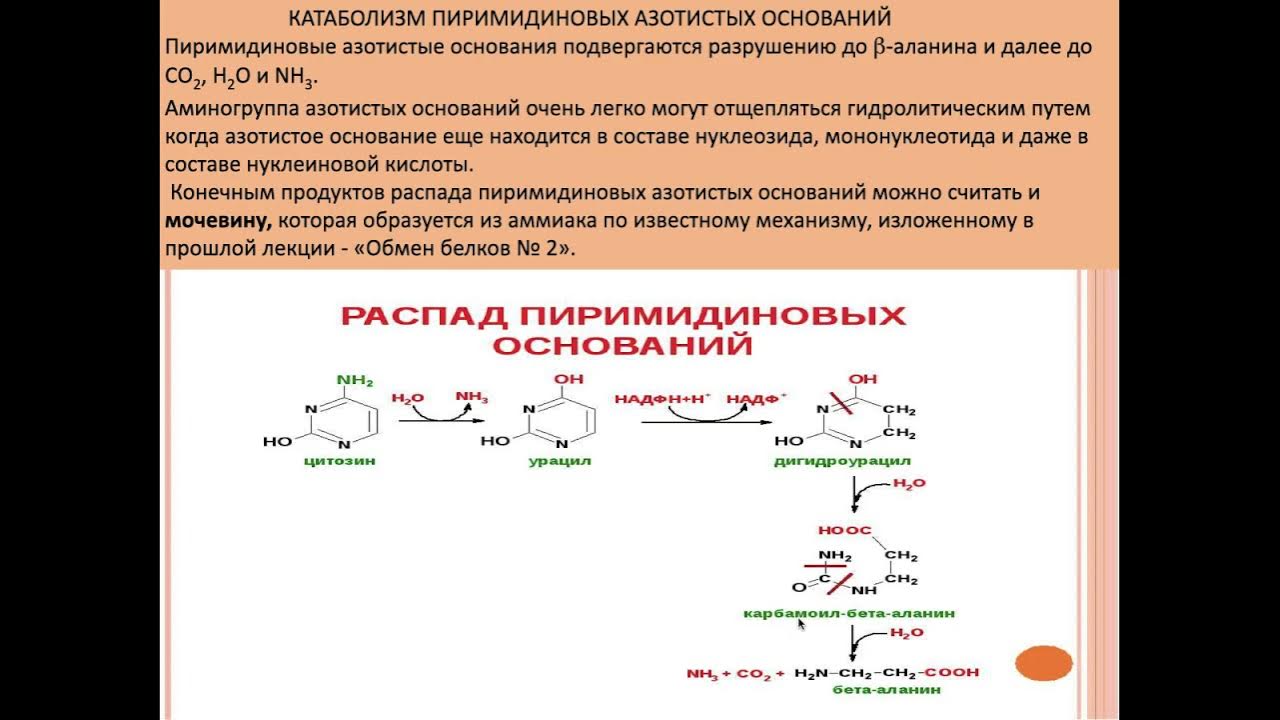 Одинаковые продукты распада удаляются. Стеркобилиноген является конечным продуктом распада. Нагиев Эйзудин Рамазанович.