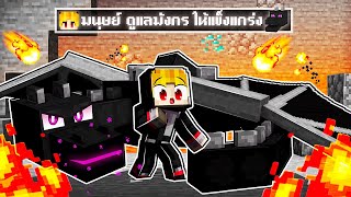 จะเกิดอะไรขึ้น!! ผมดูแล.. ลูกมังกร แข็งแกร่ง ใน Minecraft!