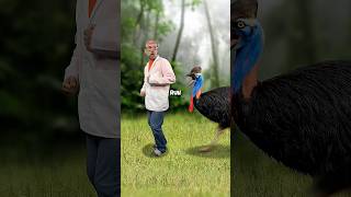 Scariest bird sounds
