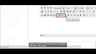 Adding a Mashup in the Text Editor - Blackboard Learn