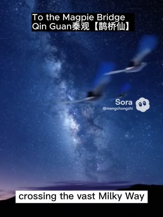 TMagpie Bridge @Qin Guan秦观【鹊桥仙（一）】 #classic #lovesongs #chinesepoetry #music #诗画中国