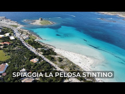LA PELOSA STINTINO