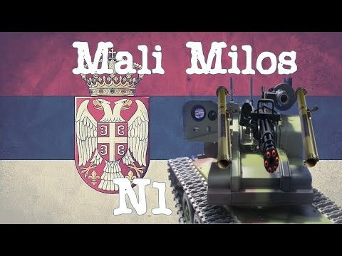 Video: Višecevni mitraljez M134 