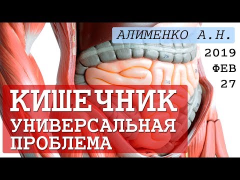 Универсальная проблема Кишечной Трубки (ЖКТ). Алименко А.Н. (27.02.2019)