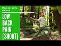 SHORT - Qigong for Low Back Pain - Traditional Chinese Medicine Physical Therapy (Physiotherapy)