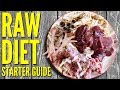RAW Diet Starter Guide - Cane Corso on RAW