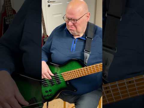 HARLEY BENTON FANNED FRET BASS