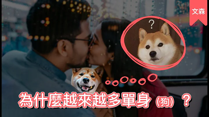 单身最大的好处是__｜《单身年代》｜文森说书 - 天天要闻