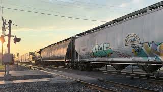 13Q DPU
