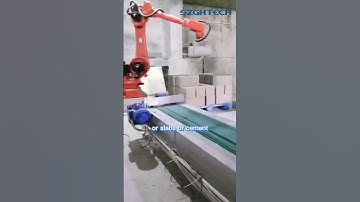 SZGH general purpose robot used for handling casesgh
