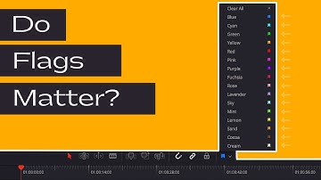 What are Flags in DaVinci Resolve and are they useful?