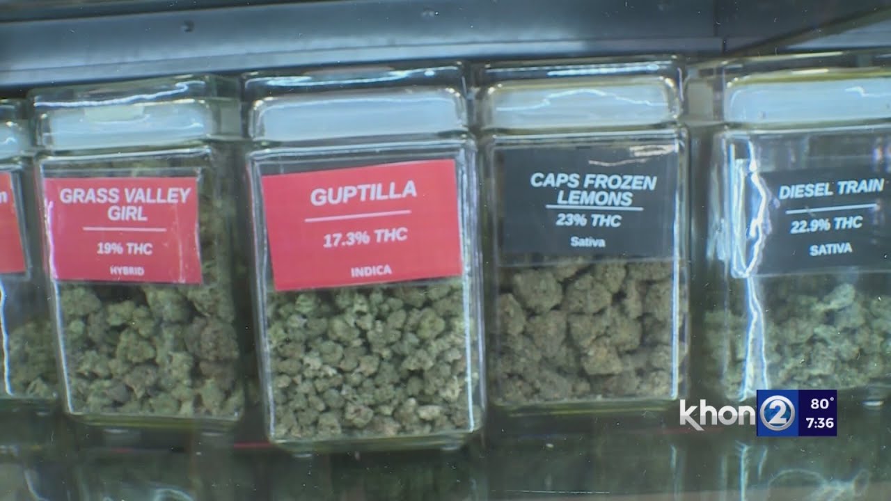 Experts debate legalizing recreational marijuana in Hawaii