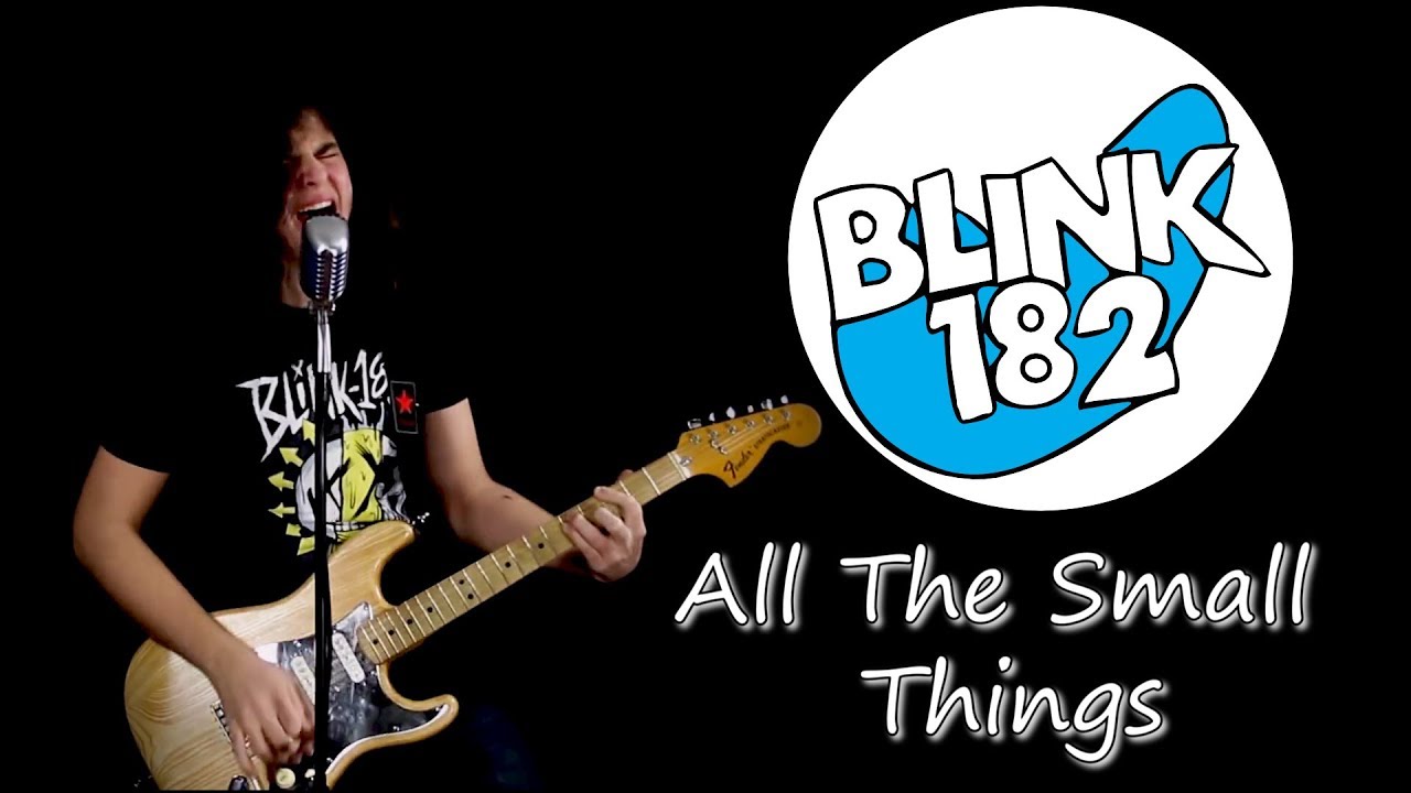 All The Small Things - Blink 182; Cover by Andrei Cerbu, Robert Ciubotaru & Iarina Miron
