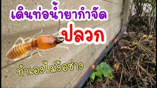 วางระบบกำจัดปลวก 5 จุดต้องระวังปลวกกัดกิน | สร้างบ้าน Ep.123