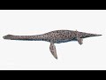gettyimages Animation of a Plesiosaurus swimming   HD stock video