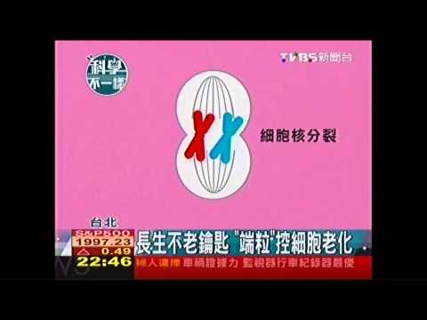 【科學不一樣】長生不老鑰匙　「端粒」控細胞老化