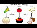 Understanding Analogies