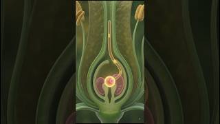 Biology Class 10 Chapter 3 🔥 Full Animated Lecture | Reproduction Complete Chapter