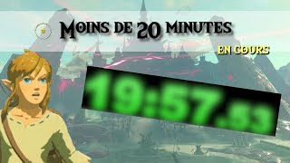 Comment les joueurs vont finir Breath of the Wild en moins de 20 minutes