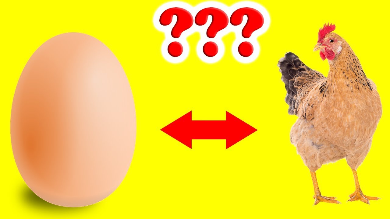 Was kam zuerst: Das Huhn oder Das EI? - YouTube