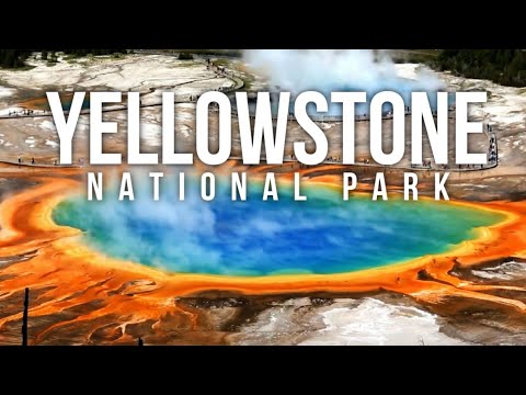 Wideo: 10 powodów, dla których warto odwiedzić Park Narodowy Yellowstone zimą