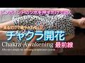 ツボを押すだけで効くチャクラ開花ヒーリング最前線 (見るだけで癒やされるシリーズ第二弾)