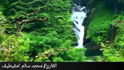 جديد  تلاوة من سورة لقمان من صلاة العشاء بصوت القارئ الليبي محمد سالم امقيطيف