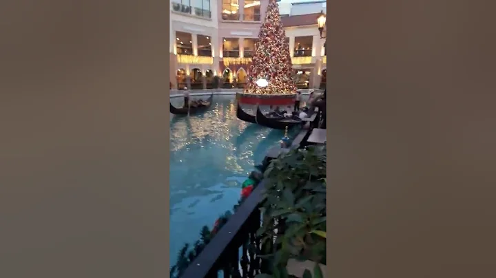 Venice mall dec 3 2021