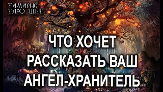 ЧТО ВАМ ХОЧЕТ РАССКАЗАТЬ ВАШ АНГЕЛ-ХРАНИТЕЛЬ 🔥💯🔥 ГАДАНИЕ ОНЛАЙН  РАСКЛАД ТАРО