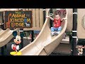 Kid Visits Disney&#39;s Animal Kingdom Lodge in Orlando, FL | Animal Kingdom