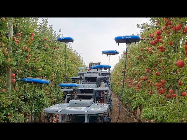 Israel enlists drones, AI and big data to farm for the future | AFP class=
