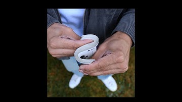 Deviation by Andrew Avila – Cardistry Con 2025