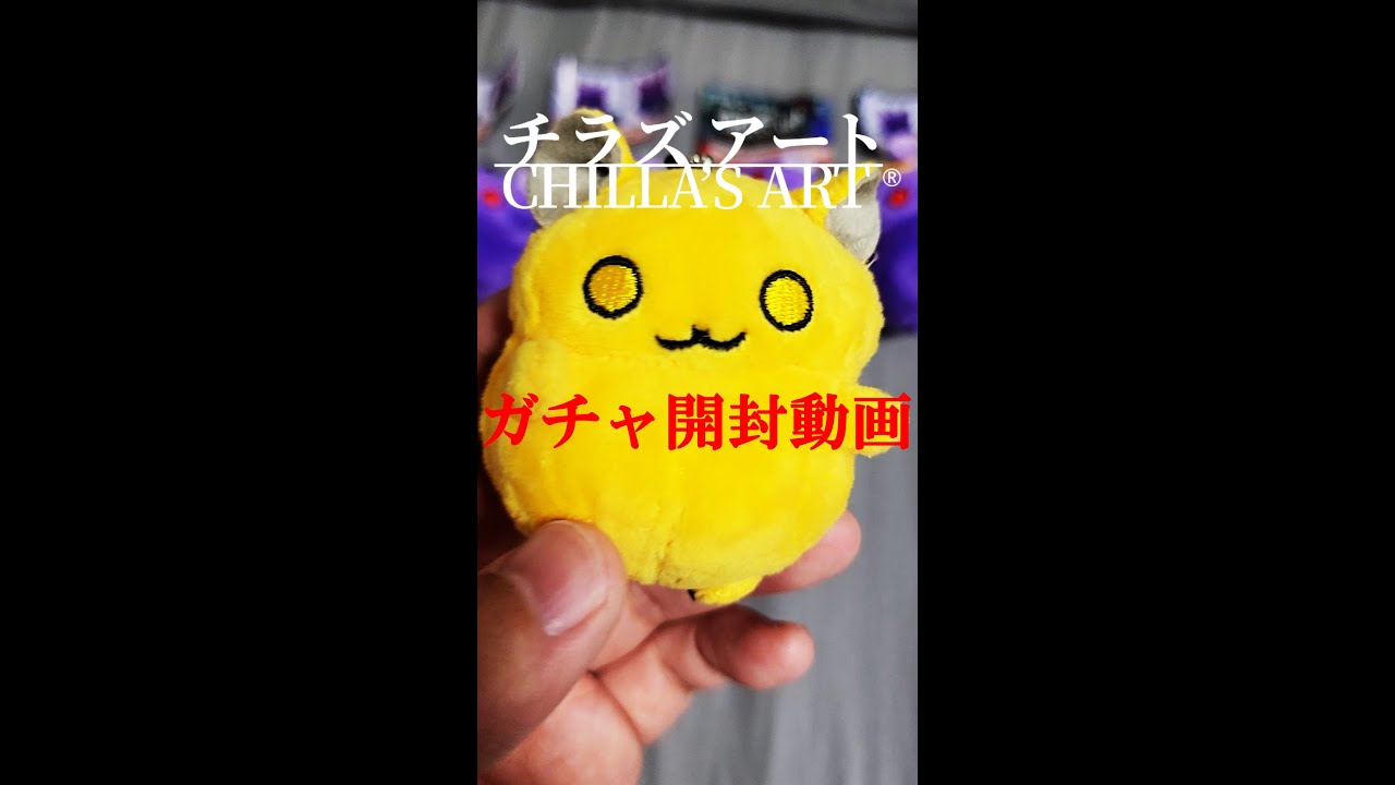 Chira's Art Chiramaru Costume Plush Mascot] A guy who appeared in