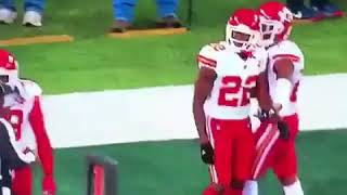 Marcus peters throws referees flag
