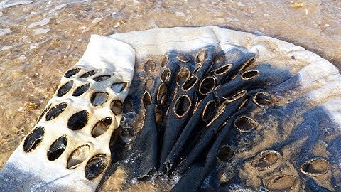 Sensing Place - A Material Response with Debbie Lyddon: About the couse