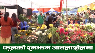 18th Chrysanthemum Flower Expo ll फूलको रमझम जावलाखेलमा ||