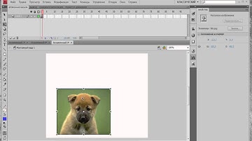 Видео уроки Flash. Методы gotoAndPlay и gotoAndStop в ActionScript 3.0