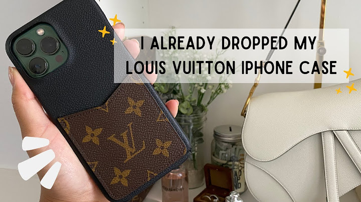 Louis vuitton iphone 11 max pro case