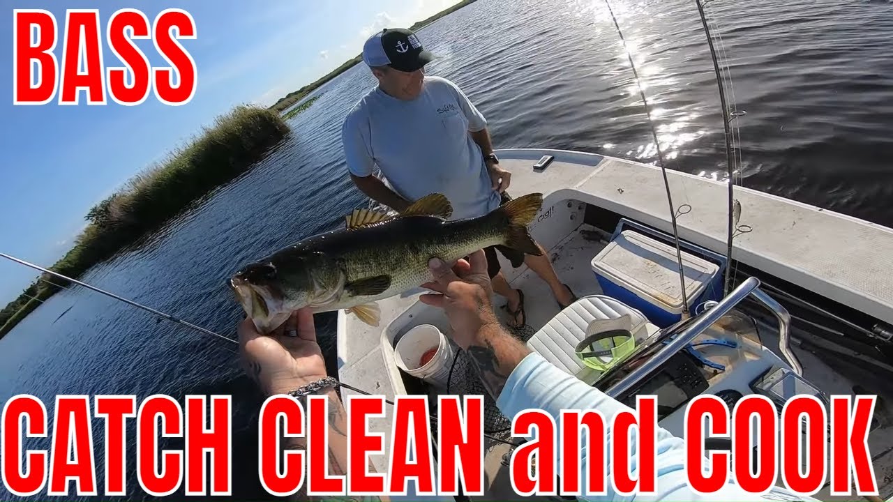 LARGE MOUTH BASS Catch Clean and Cook YouTube