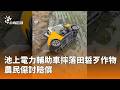 台灣地方交通與觀光亂象