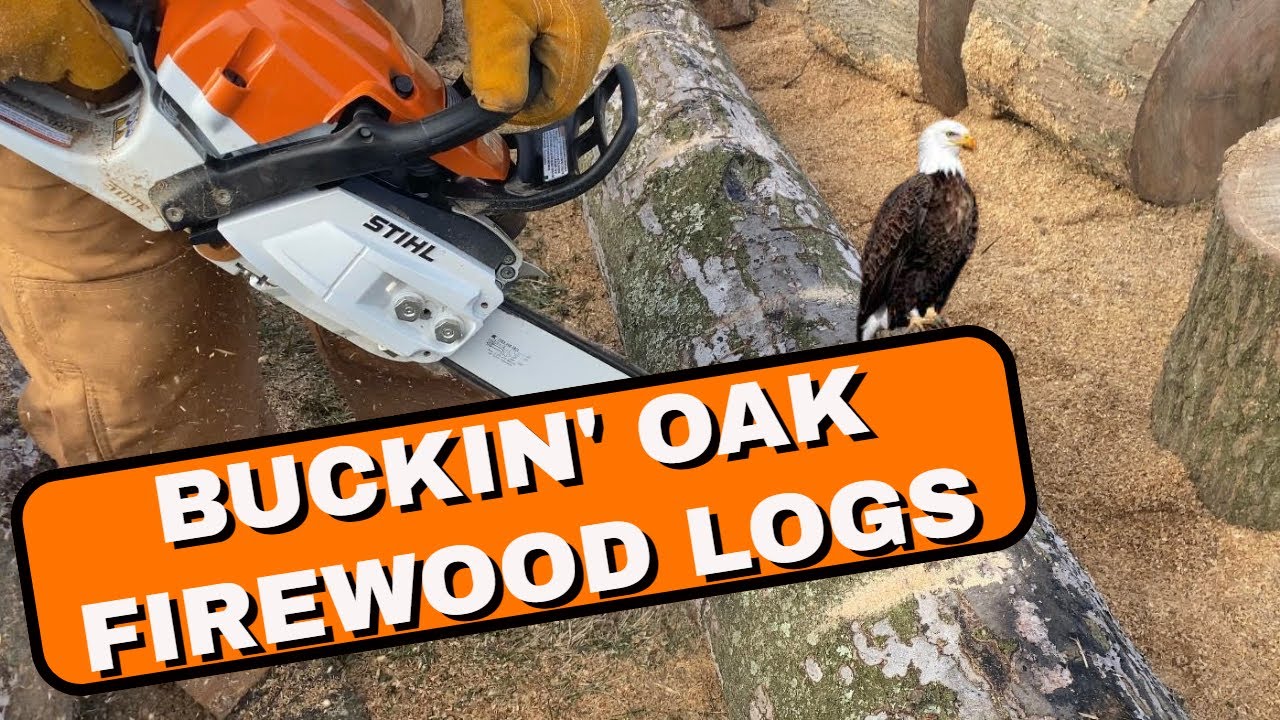 CUTTING FIREWOOD LOGS - #59 - YouTube