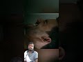 The most brilliant man😱🫡 #film #movie #trending #viral #shortvideos#idea