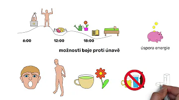 Co je únava?