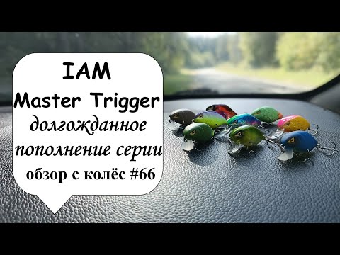 IAM Master Trigger