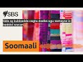 Sida ay kubbadda cagtu dadka ugu samayso is-beddel wacan | SBS Somali - SBS Afsomali