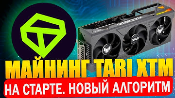Майнинг TARI XTM на новом алгоритме. На старте сети. Настройка на windows и Hive OS