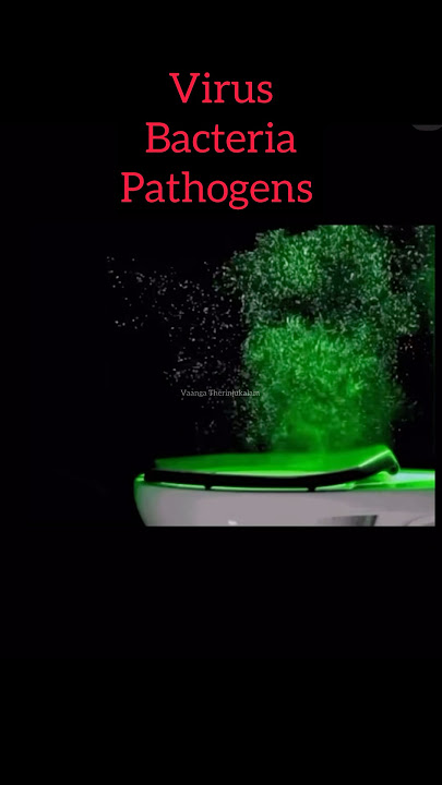 The Hidden Danger in Your Bathroom: Why You Should Always Close the Toilet Lid Before Flushing