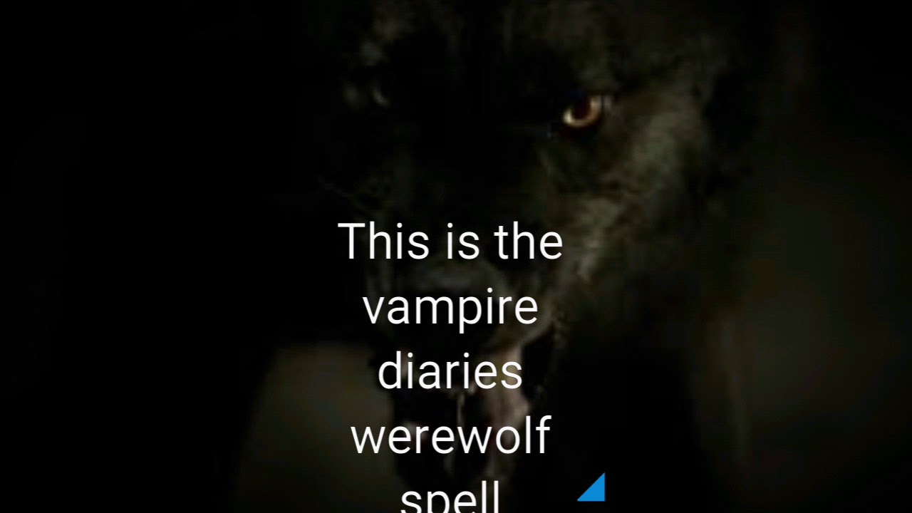 Vampire diaries werewolf spell - YouTube